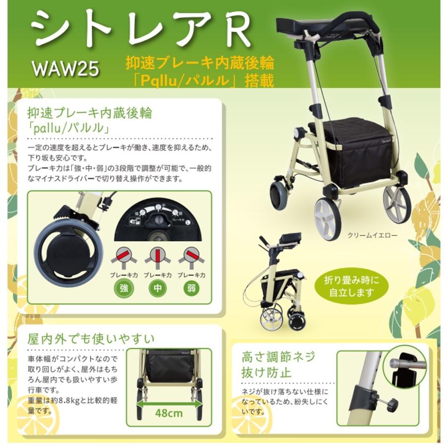 シトレアＲ 抑速付